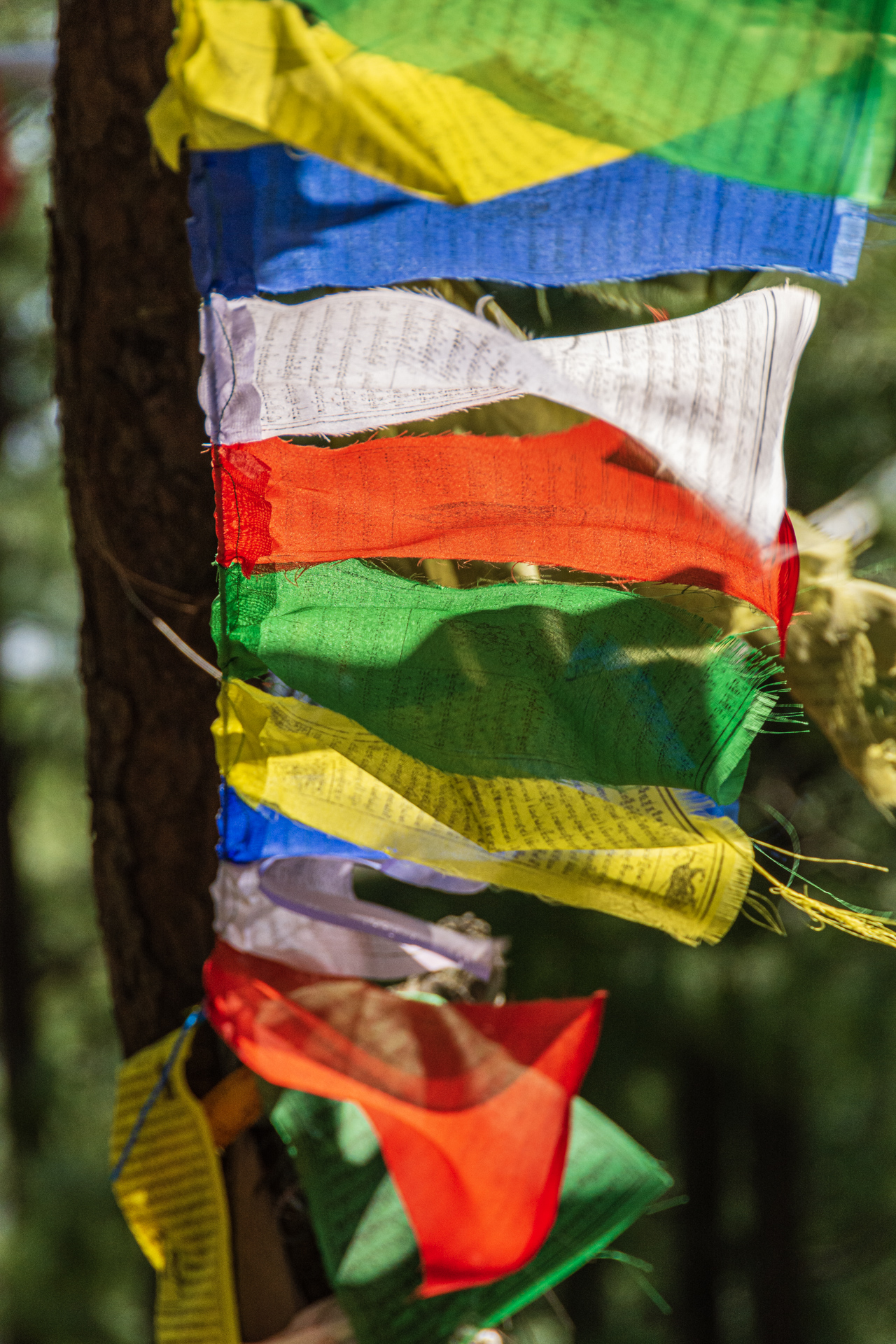 Kathmandu Shivapuri National Park